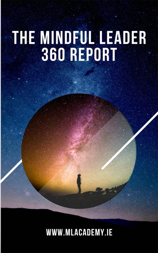 The Mindful Leader 360 Report